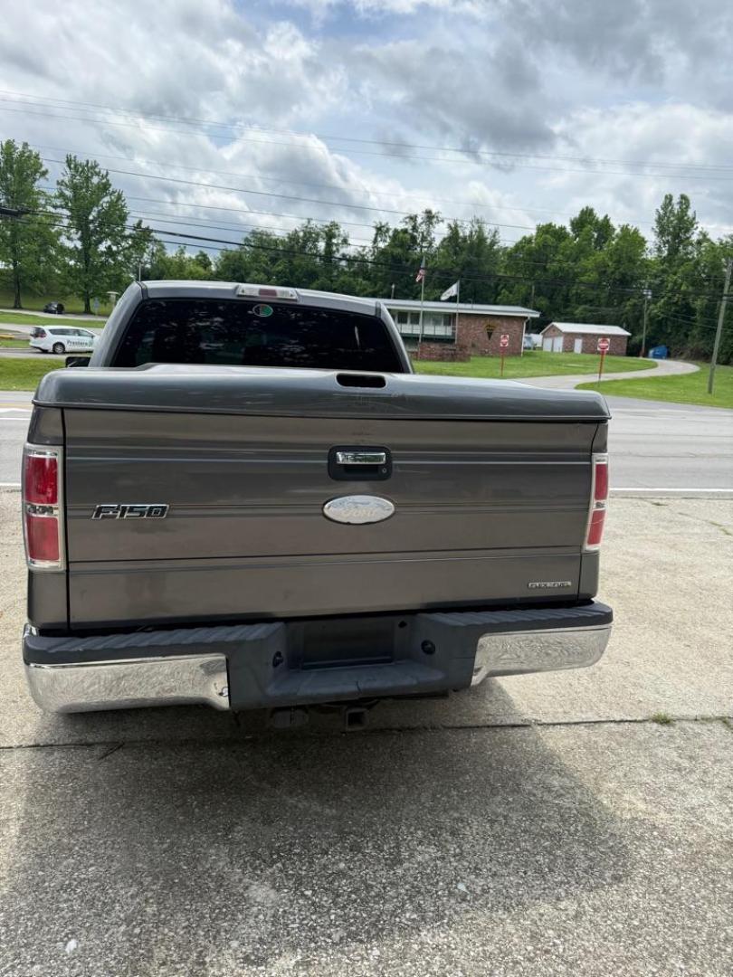 2012 GRAY FORD F150 SUPERCREW (1FTFW1CF4CF) with an 5.0L engine, Automatic transmission, located at 3338 US Rt. 60 East, Huntington, WV, 25705, (304) 733-9888, 38.411072, -82.379471 - Photo#3
